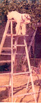 herman_ladder.jpg (9213 bytes)